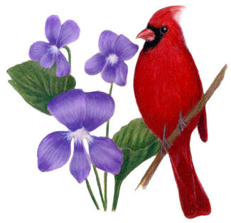 Illionois State Bird and Flower