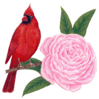 Indiana State Bird and Flower