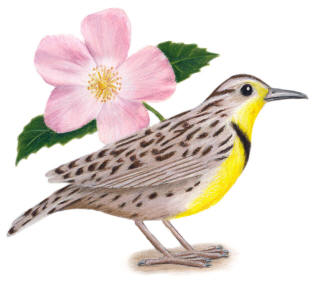 North Dakota State Bird and Flower