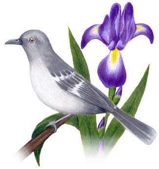 Tennessee State Bird and Flower